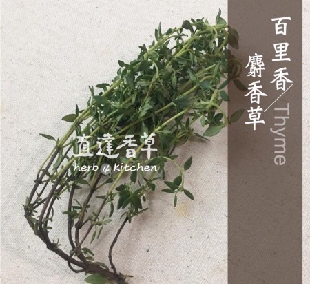 直達香草 新鮮百里香 Thyme30克